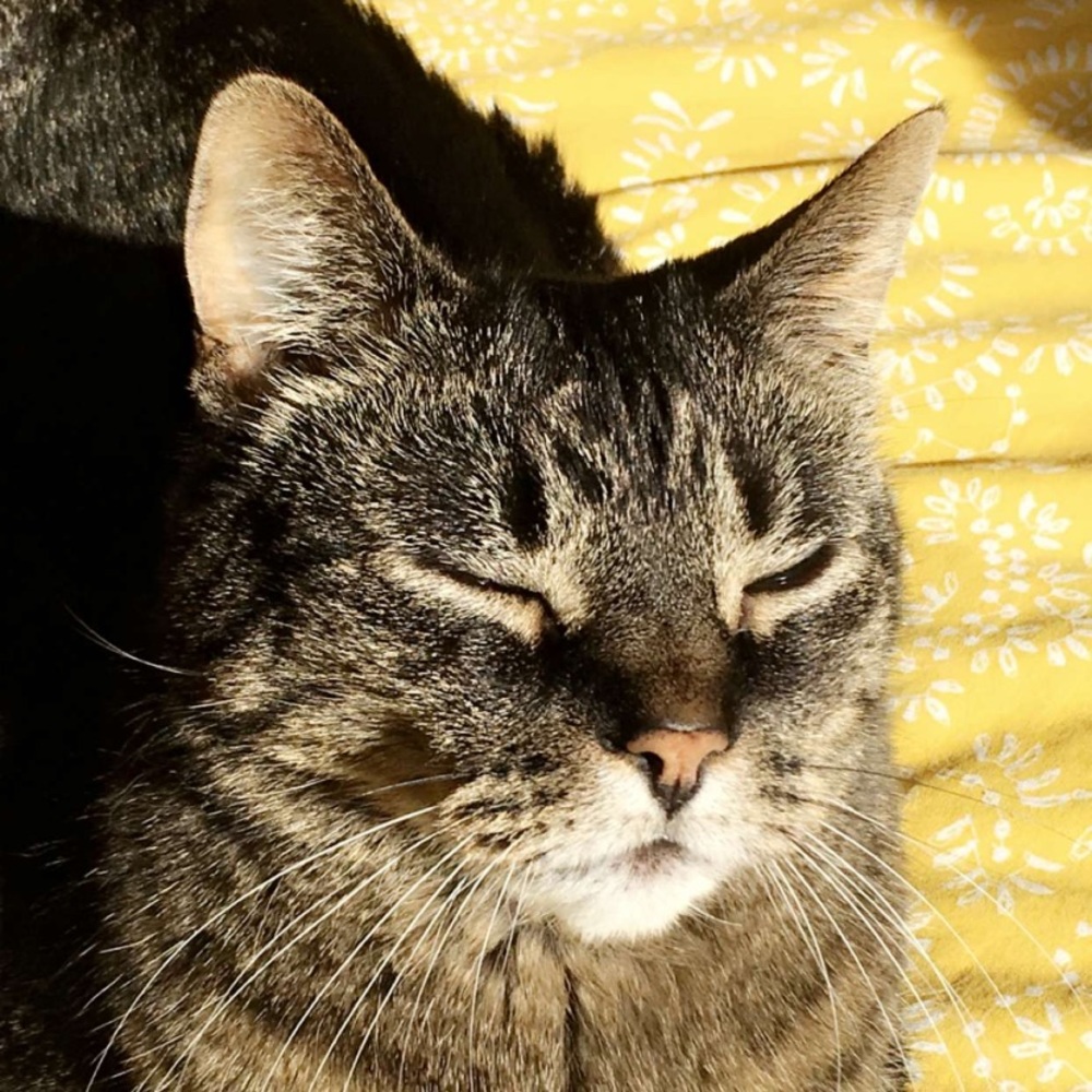 Meet your Posher, Avery